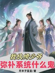 弥补系统什么鬼小