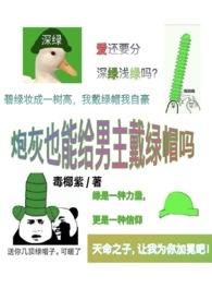 炮灰也能当老婆吗