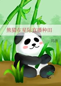 直播熊猫的