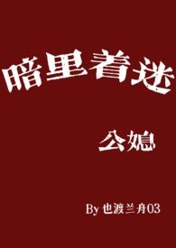 暗里着迷合集