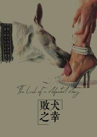 败犬之幸垃圾大王