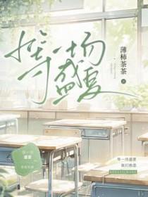 在盛夏等待一歌