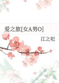 爱之旅集团