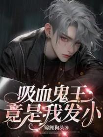 吸血鬼王子大全