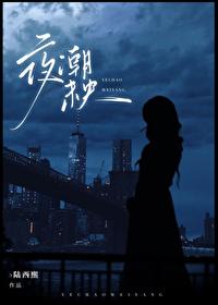 夜未央的前一句是什么