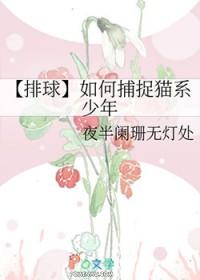 小排球 猫猫