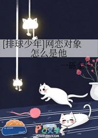 排球少年cp连线表
