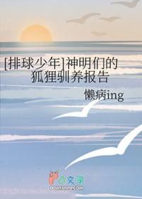排球少年狐狸队队长