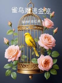 雀鸟难逃金笼讲了什么