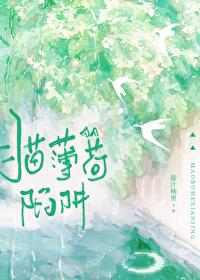 猫薄荷陷阱笔趣阁TXT