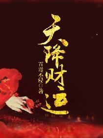 天降财运在线观看