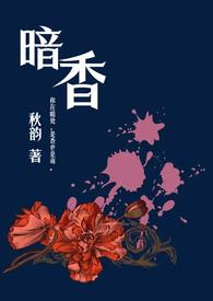 暗香(舅甥)秋韵番外