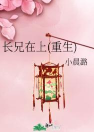长兄在上(重生)书评
