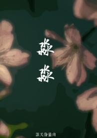 淼淼电视剧