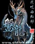 盘龙药业7月13日主力资金净买