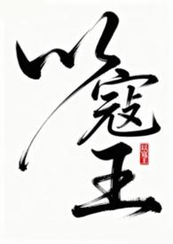 以寇王by笔趣阁