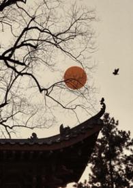 雀儿是什么梗