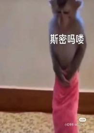 泡芙小姐的泳衣是第几集