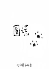 圆谎的人