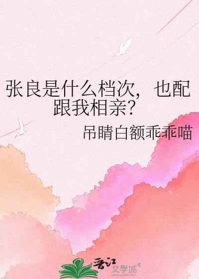 张良是哪一家