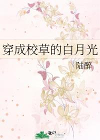 穿成校草的白月光夂槿