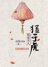 我家夫人猛于虎免费全文阅读