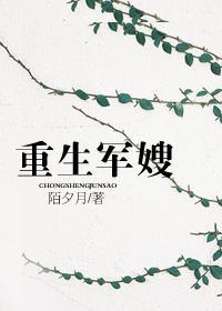 重生军嫂攻略