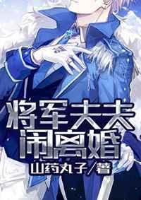 将军夫夫闹离婚晋江