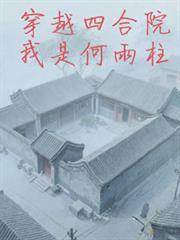 穿越四合院之何宇晨