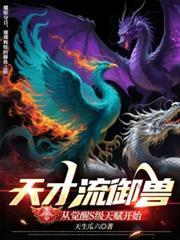 天才流吧