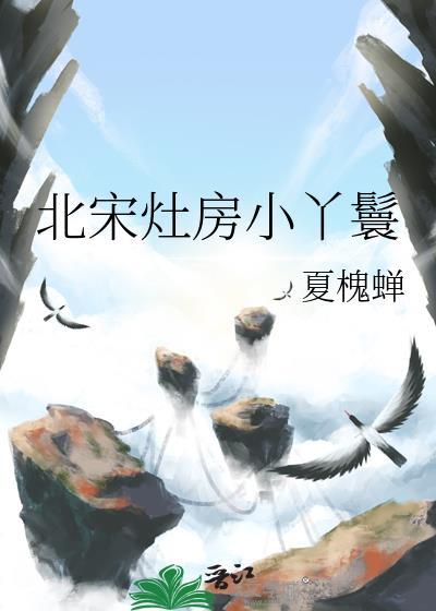 北宋灶房小丫鬟夏槐蝉