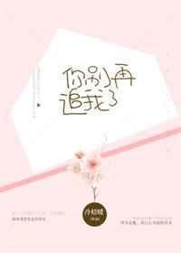 别再追我了