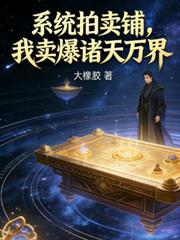 有关拍卖的系统流
