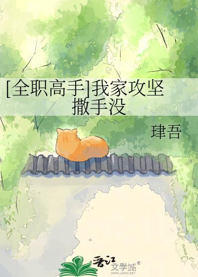 全职高手我要攻略lofter