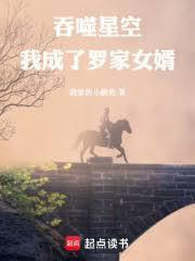 吞噬星空我成了罗家女婿免费阅读