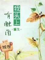我头上有触角怎么办