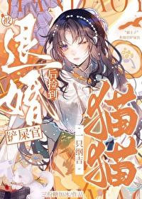 [综漫] 被退婚后，捡到一只纲吉猫猫